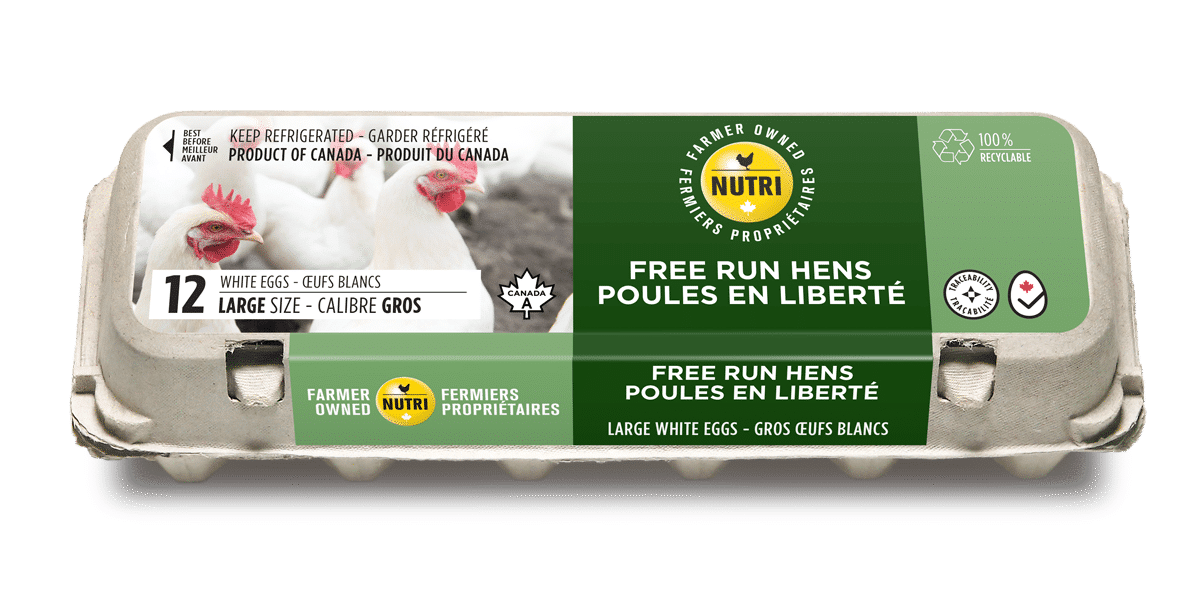 Free Run Hens Large White Eggs